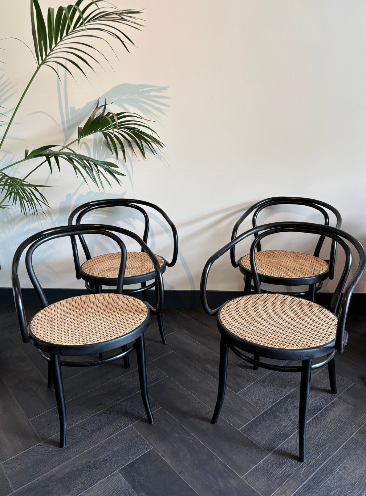 Set 4 stuks jaren ‘70 Ligna Thonet style stoelen, Ophalen