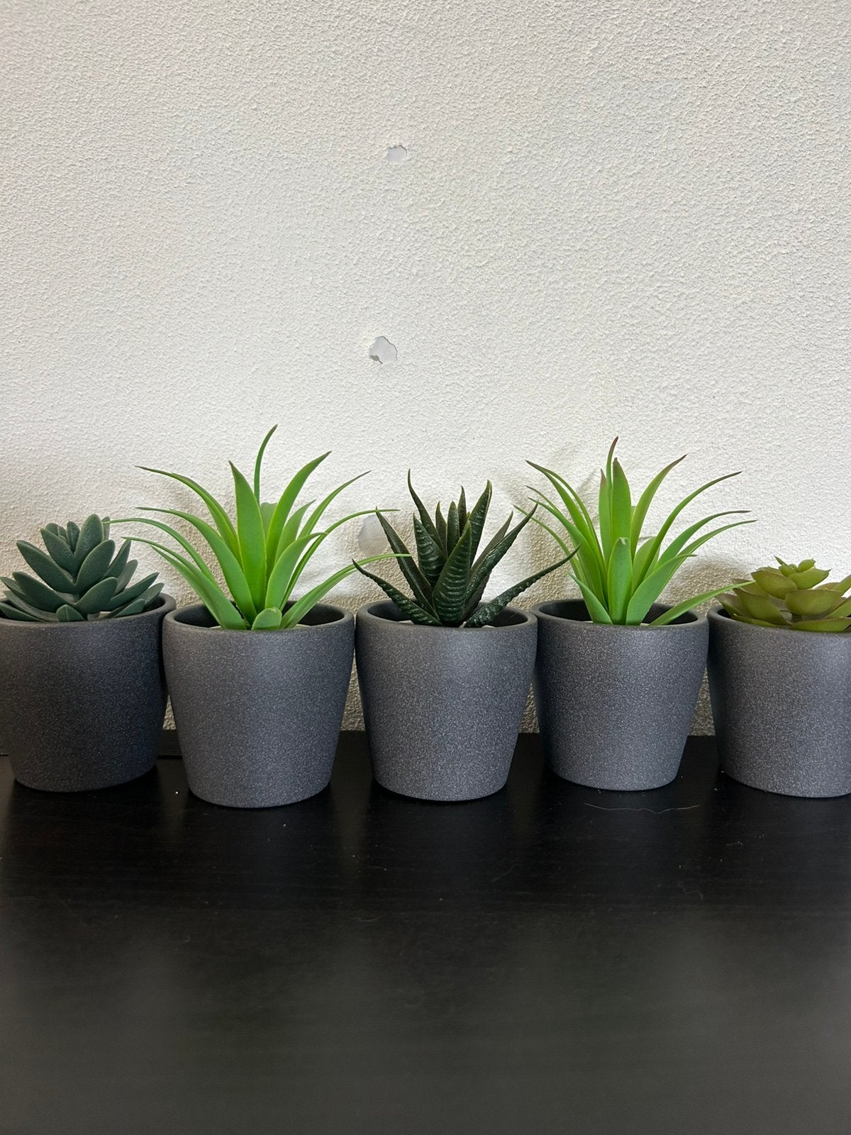 5 Kunstplantjes in pot, Ophalen