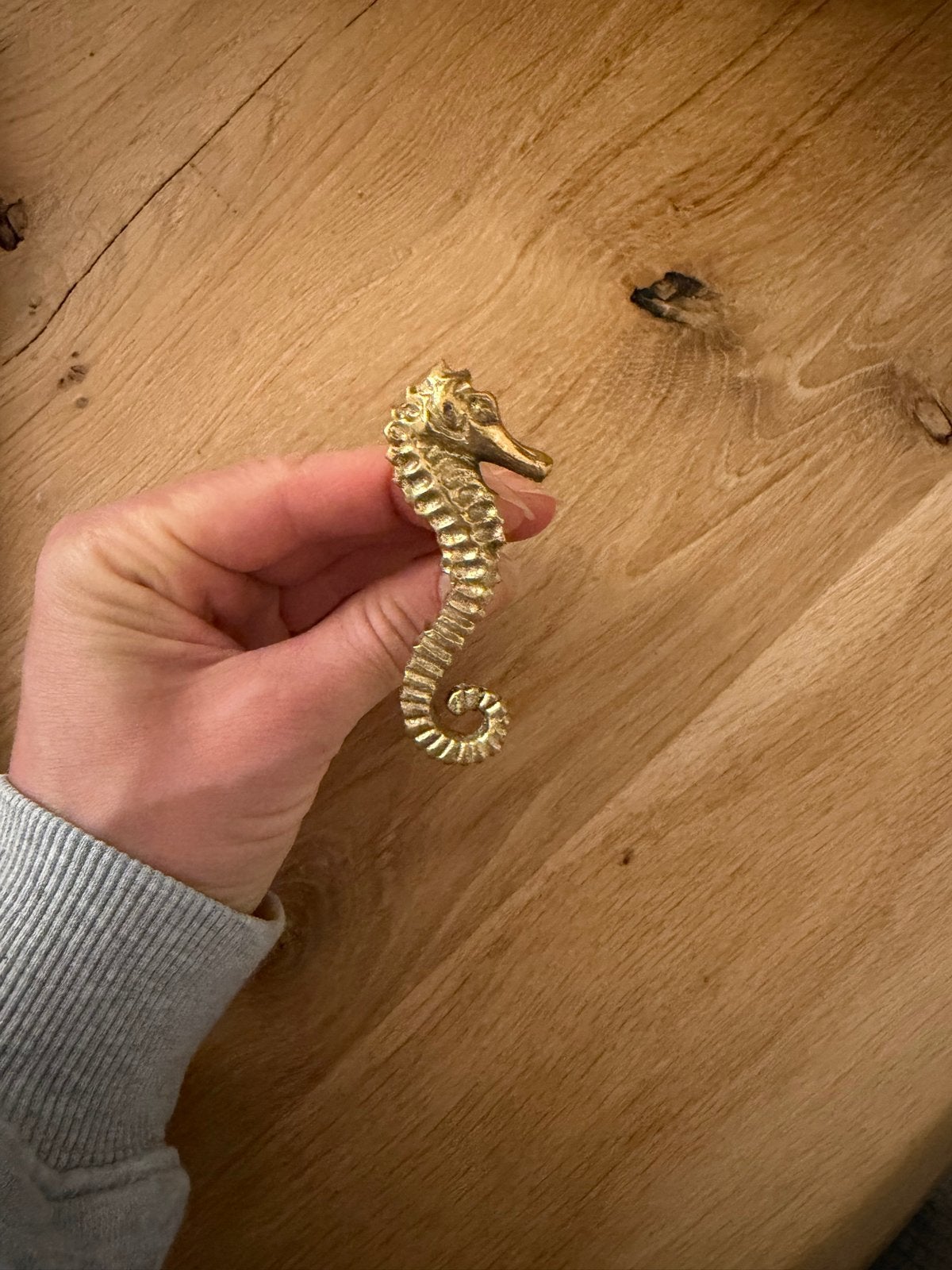 Gouden Zeepaardje Deurknop / Ladeknop, Ophalen of Verzenden