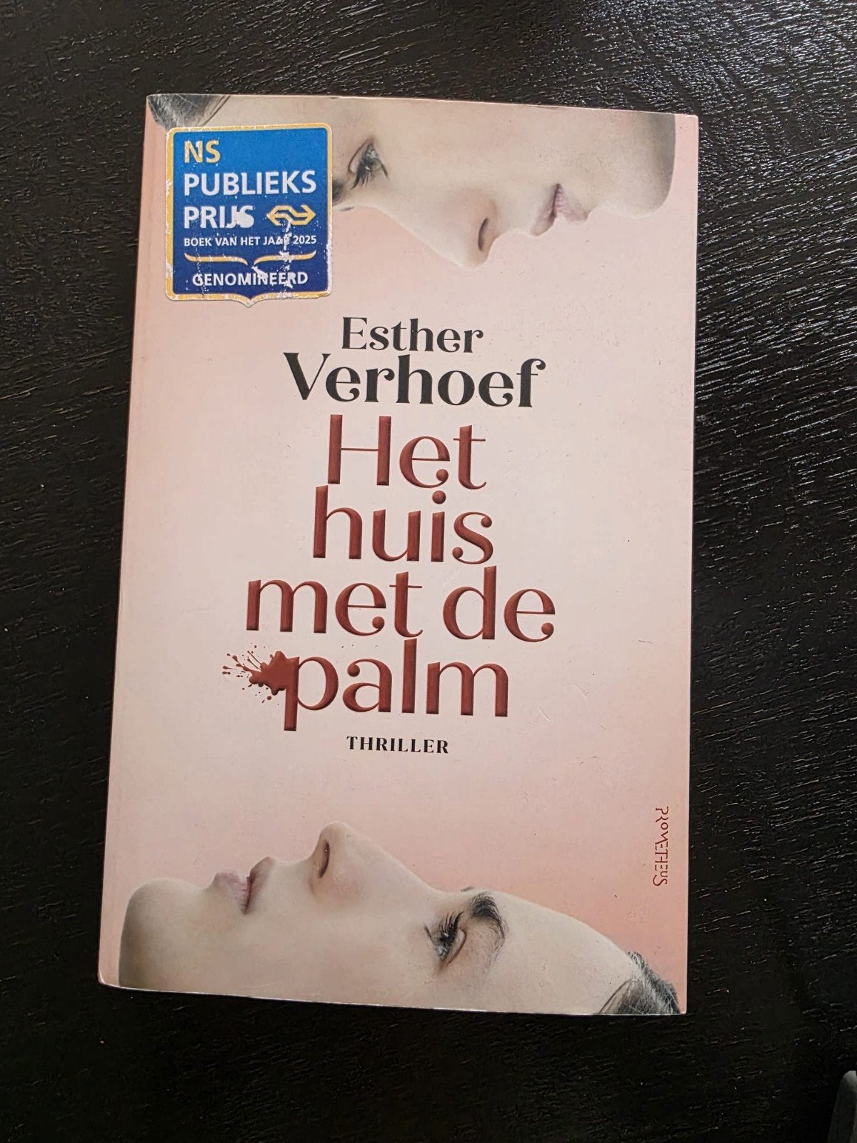 Esther Verhoef - Het huis met de palm, Ophalen of Verzenden, Gelezen, Esther Verhoef, Nederland