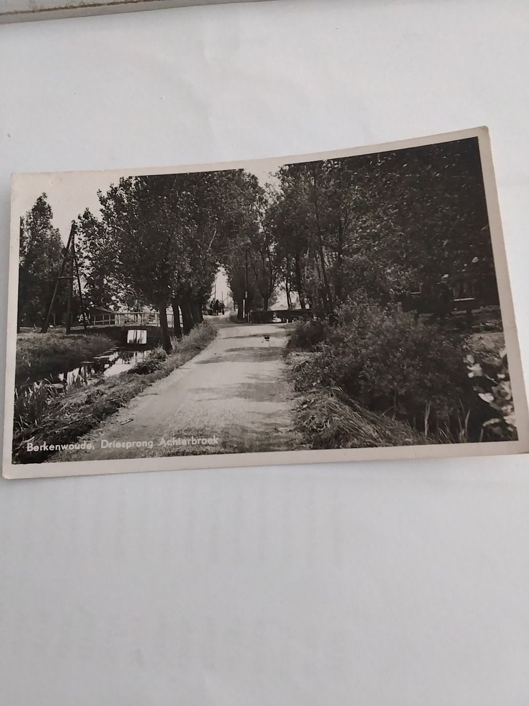 Oude Ansichtkaart Berkenwoude, Driesprong Achterbroek, Ophalen of Verzenden, Voor 1920, Gelopen, Zuid-Holland