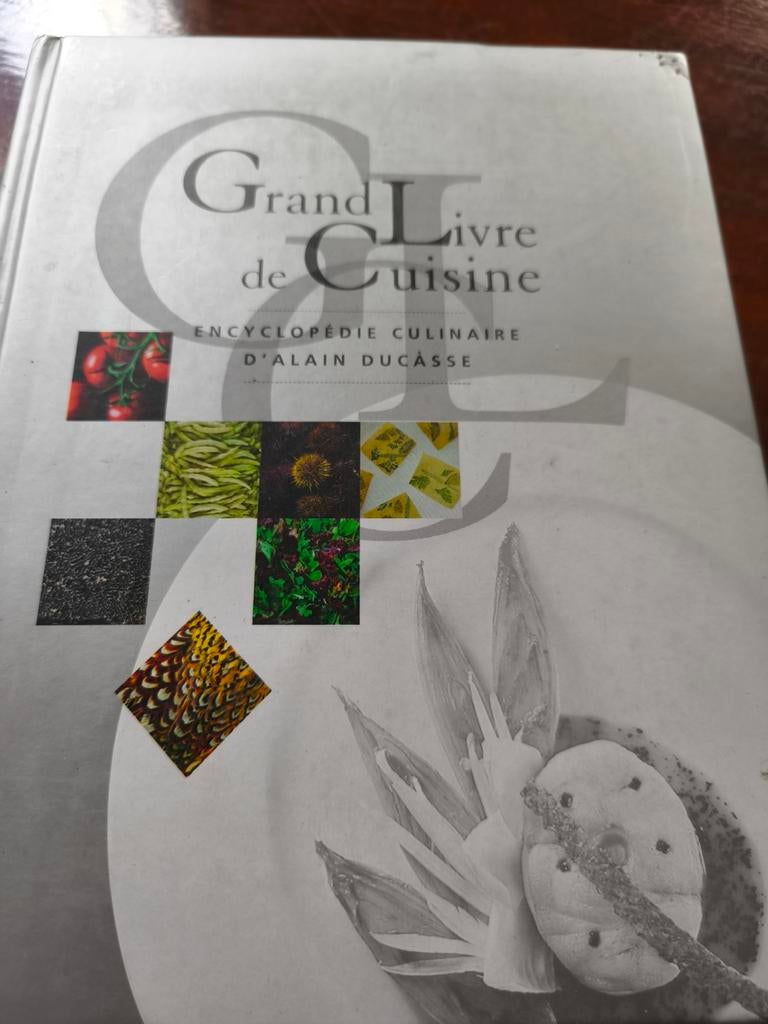Grand Livre de Cuisine - Alain Ducasse, Boeken, Kookboeken, Alain Ducasse, Ophalen of Verzenden, Zo goed als nieuw, Hoofdgerechten
