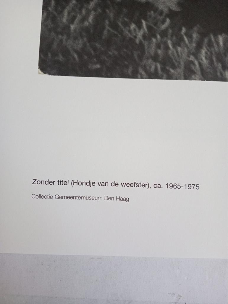 Gerard Fieret fotoprint 2011 Hondje, Verzamelen, Ophalen of Verzenden, 1980 tot heden