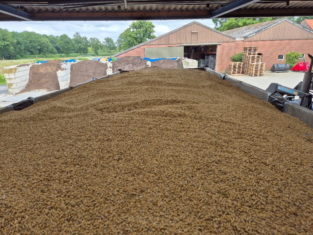 Graan te koop, Dieren en Toebehoren, Dierenvoeding, Vee, Ophalen of Verzenden