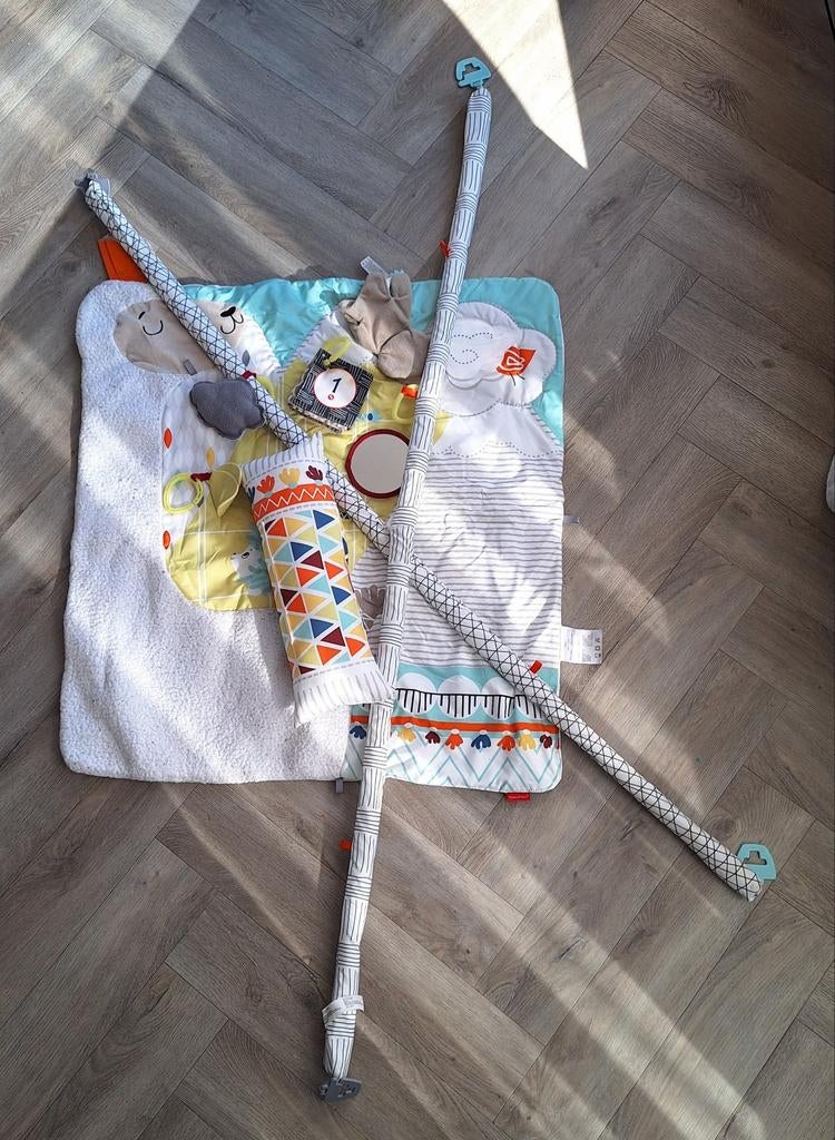 Fisher Price Perfect Sense Deluxe Gym., Ophalen of Verzenden, Zo goed als nieuw, Babygym