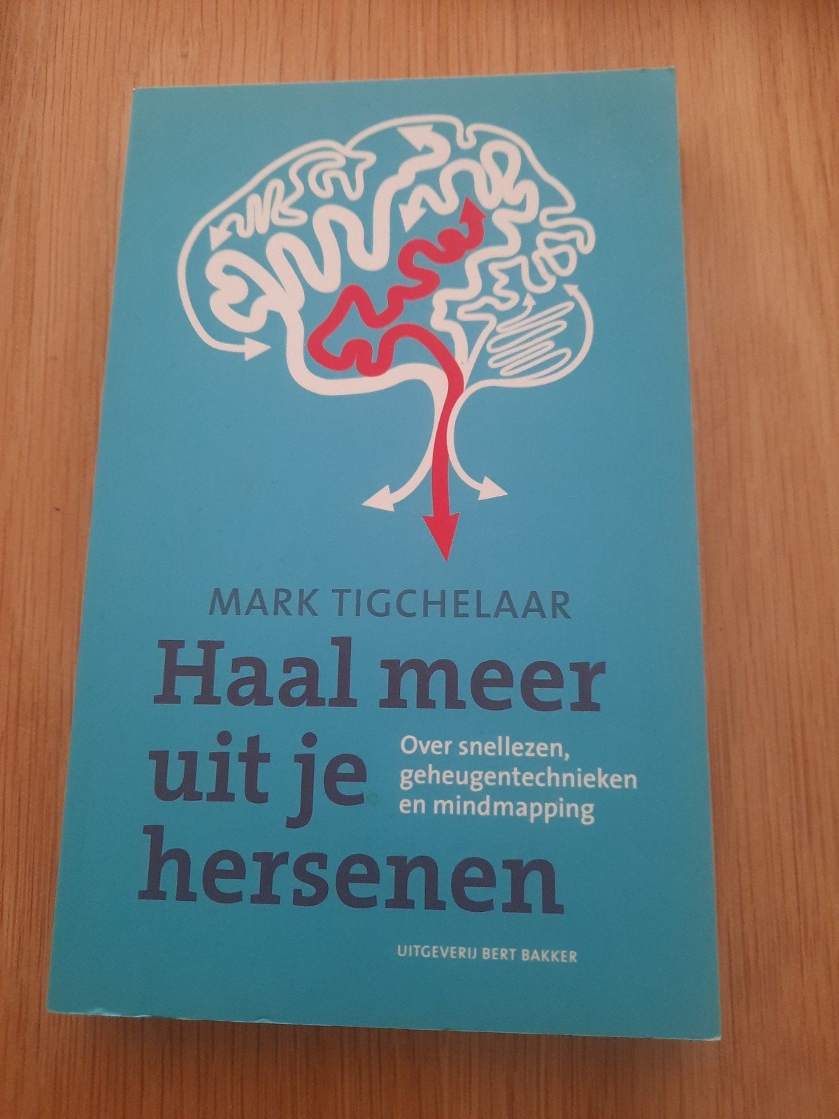 Haal meer uit je hersenen - Mark Tigchelaar € 7,50, Ophalen of Verzenden, Zo goed als nieuw, Cognitieve psychologie, Mark Tigchelaar
