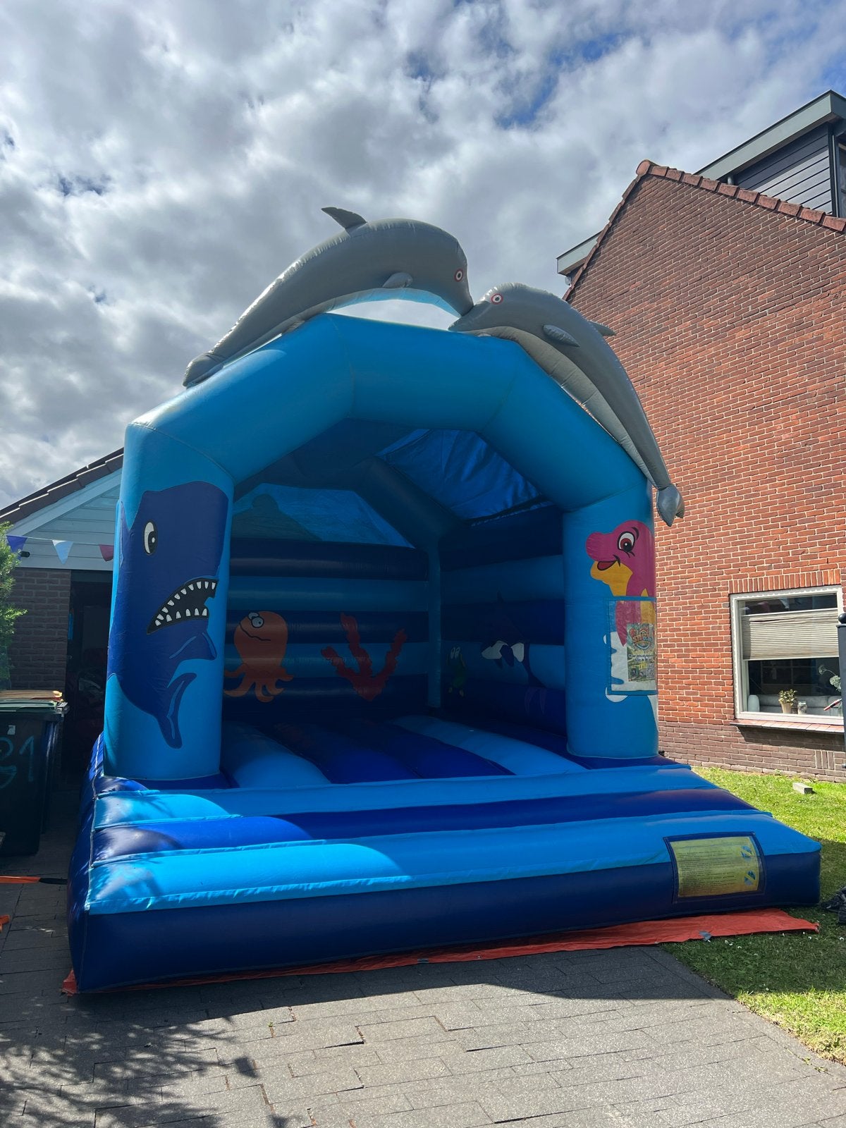 Springkussen Dolfijn Thema te koop Plezier voor Kinderen!, Ophalen of Verzenden, Zo goed als nieuw
