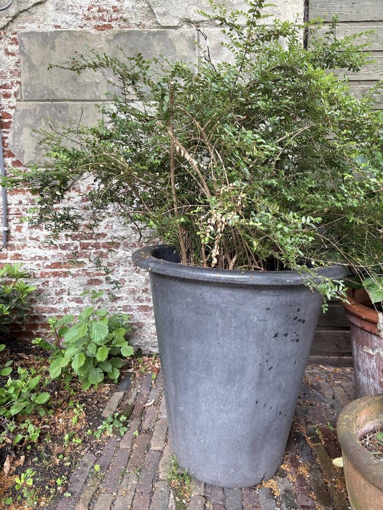 Antraciet Terracota pot (groot), Tuin en Terras, Bloempotten, Ophalen, 40 cm of meer, Rond, Zo goed als nieuw