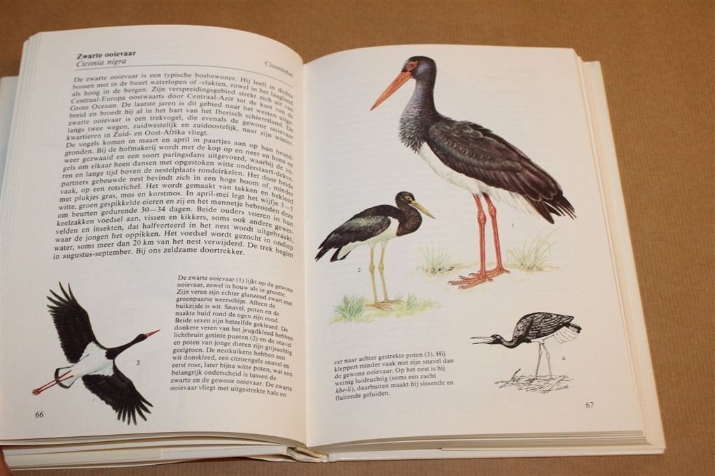 Watervogels — Europese Soorten in Woord & Beeld, Ophalen of Verzenden, Gelezen, Vogels