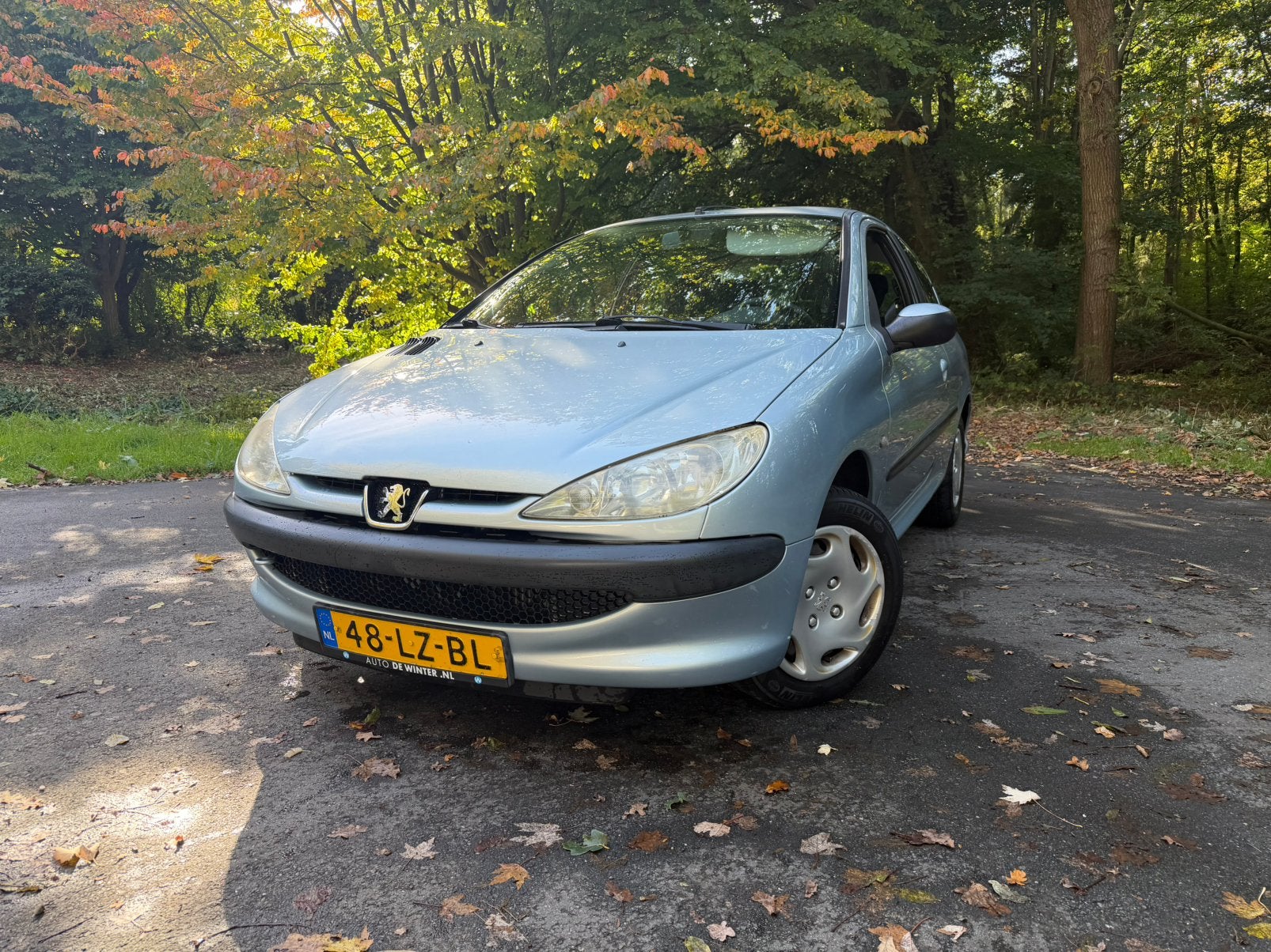 Peugeot 206 1.4 X-line 3D 2003 Grijs TOP onderhouden!!!!, Voorwielaandrijving, 31 €/maand, 4 cilinders, Origineel Nederlands