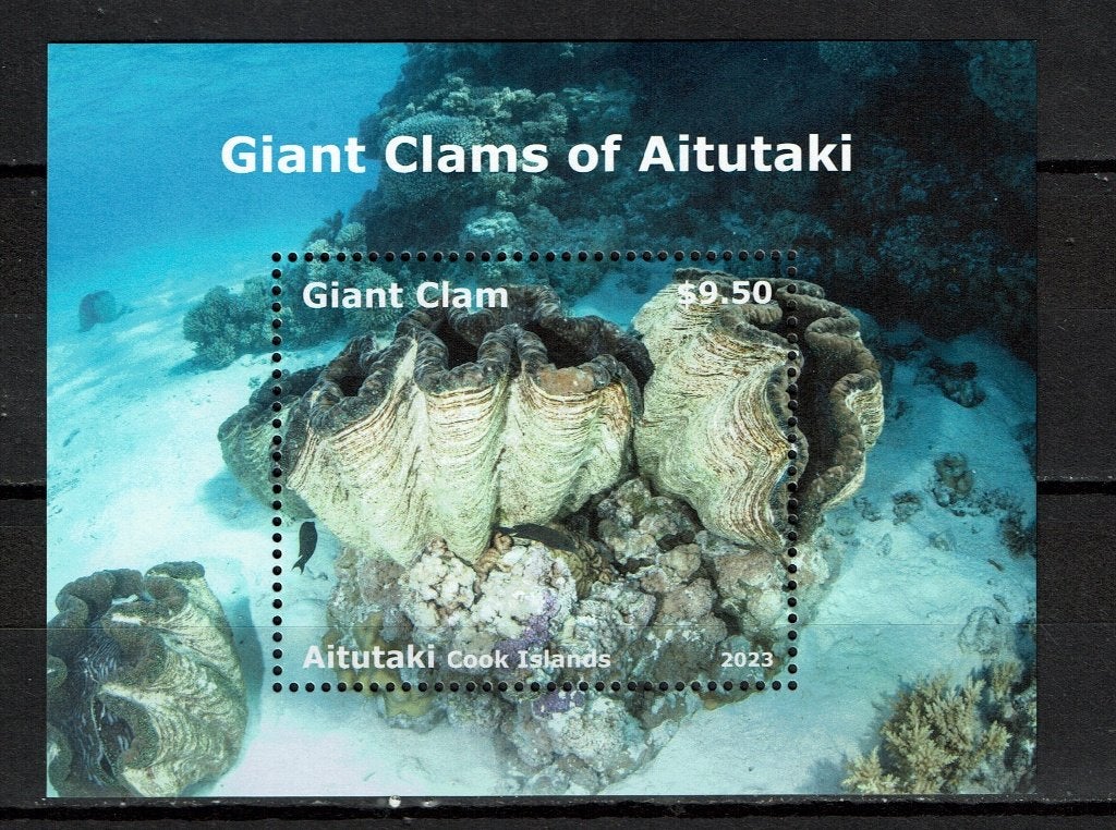 aitutaki 2023 pf blok schelpen shells zeeleven, Ophalen of Verzenden, Postfris, Dier of Natuur