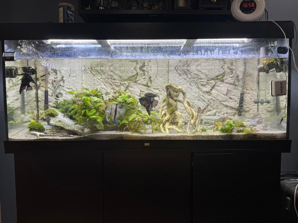 Super Compleet Aquarium, Dieren en Toebehoren, Ophalen, Zo goed als nieuw, Leeg aquarium, Juwel