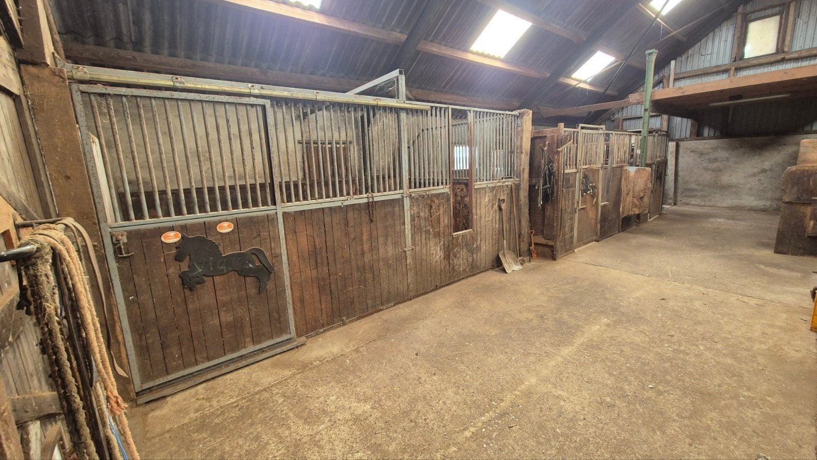 stuk of 7 paardenboxen, Dieren en Toebehoren