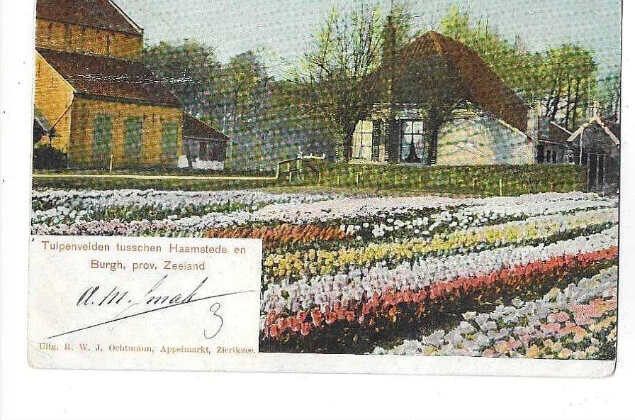 Haamstede, Ophalen of Verzenden, Voor 1920, Gelopen, Zeeland