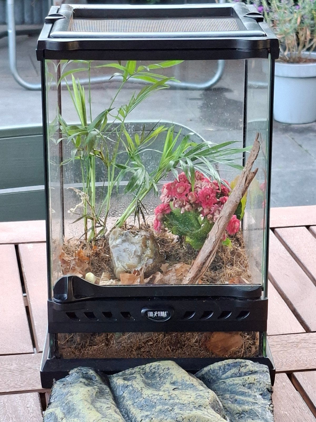 Exo terra terrarium 20x20x30, Ophalen, Gebruikt