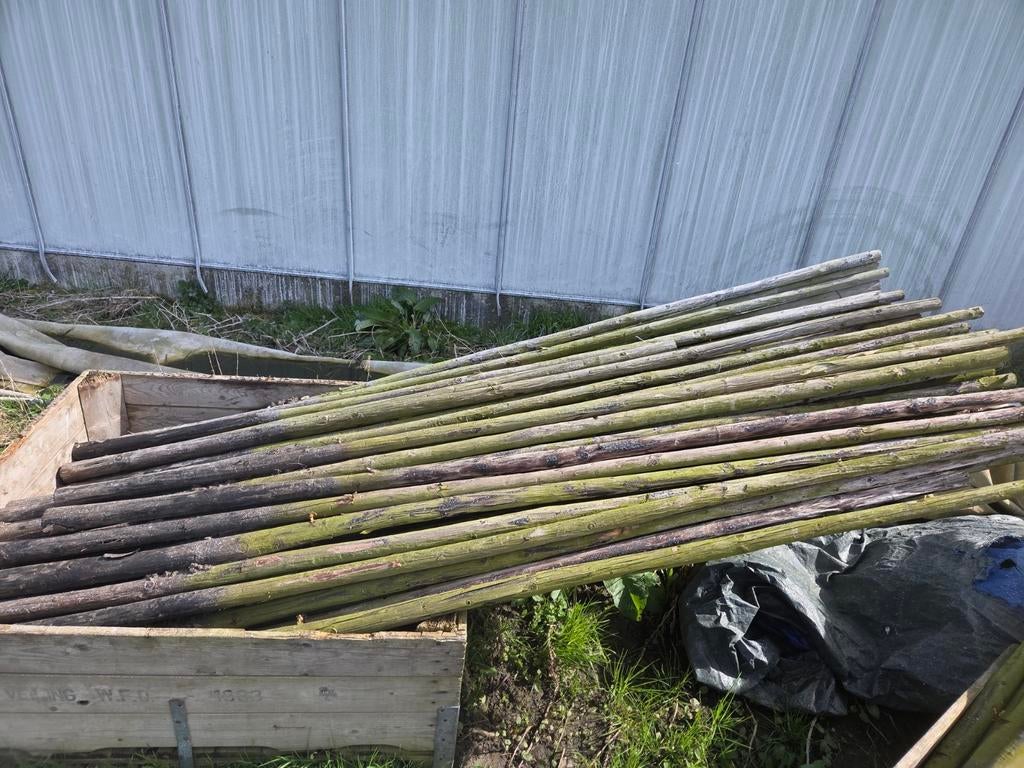 Houten palen - Ideaal voor diverse projecten, Tuin en Terras, Palen, Balken en Planken, Ophalen