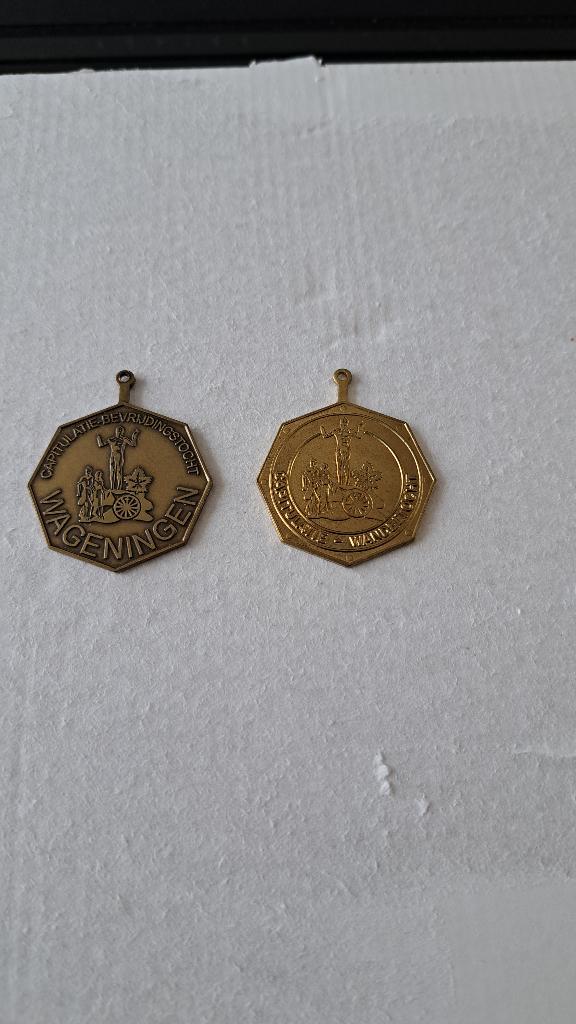 Medailles capitulatie wageningen, Postzegels en Munten, Ophalen of Verzenden, Brons, Nederland