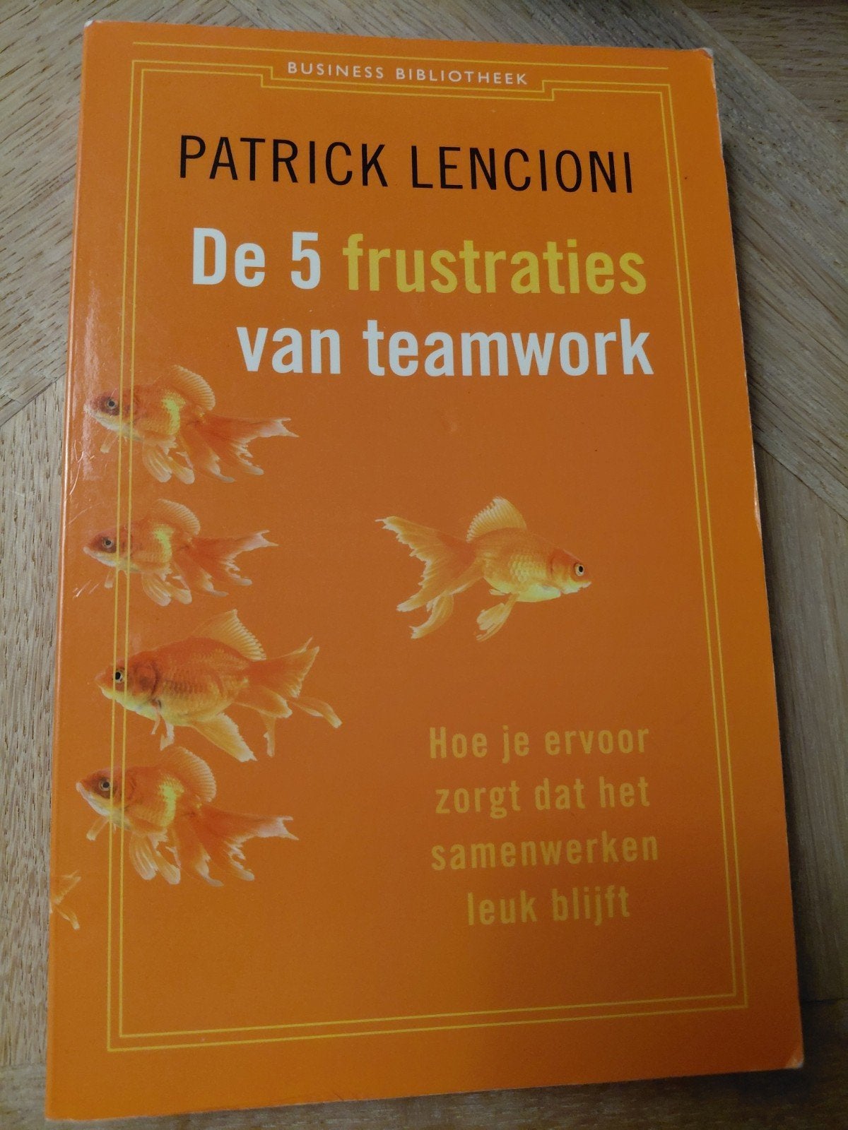 De 5 frustraties van teamwork - Patrick Lencioni, Ophalen of Verzenden, Zo goed als nieuw, Management, Patrick Lencioni