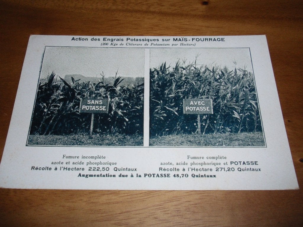 Reclame Meststof Maïs Vergelijking Landbouw Tuinbouw, Verzenden, 1920 tot 1940, Ongelopen, Overige thema's