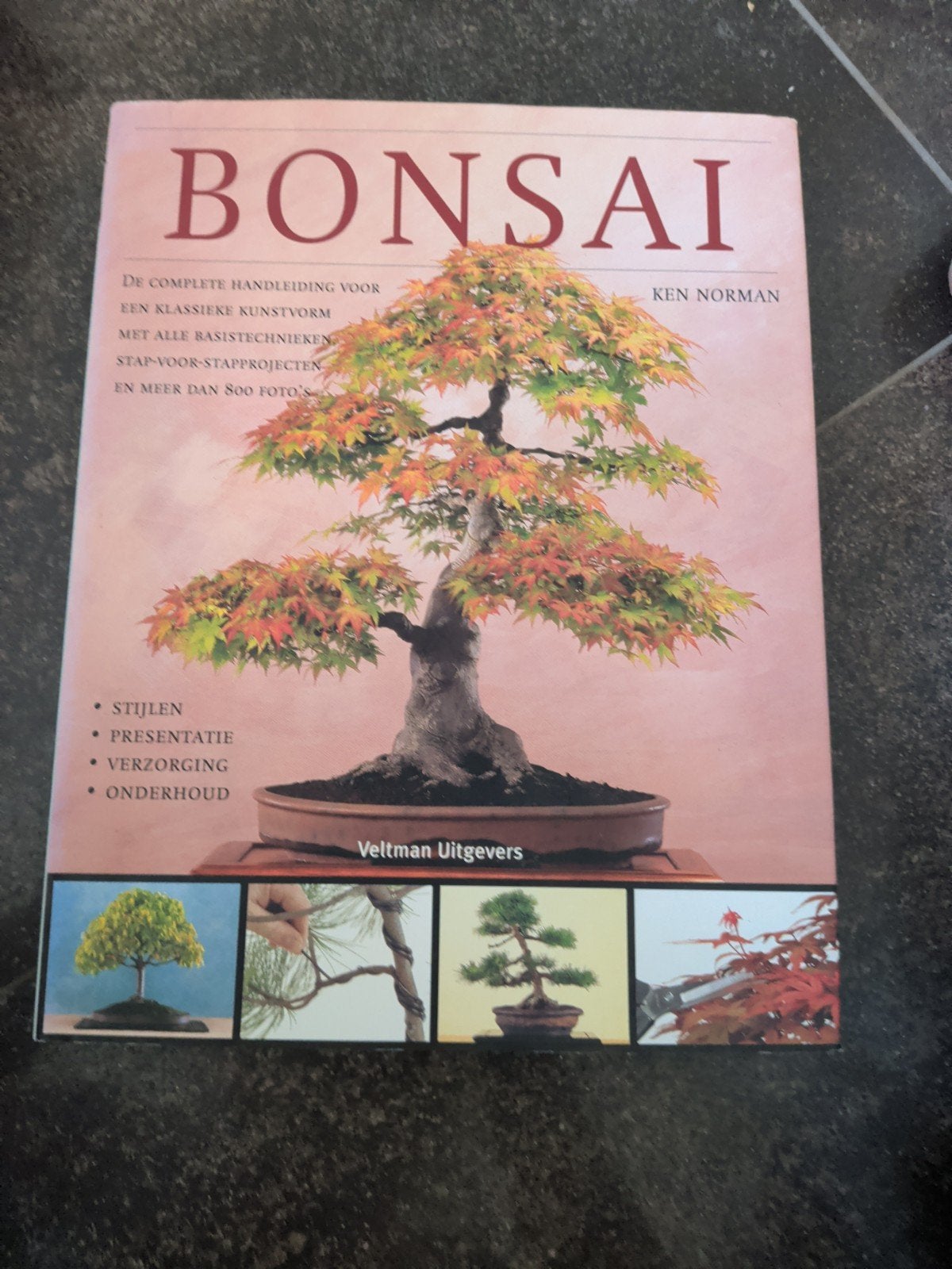 K. Norman - Bonsai, Bloemen, Planten en Bomen, K. Norman, Ophalen of Verzenden, Zo goed als nieuw