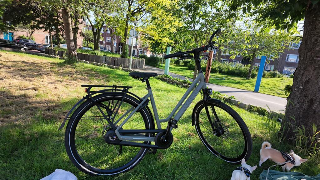 Gazelle Chamonix C8 te koop – framemaat 49, 47 tot 50 cm, Ophalen of Verzenden, Zo goed als nieuw, Gazelle