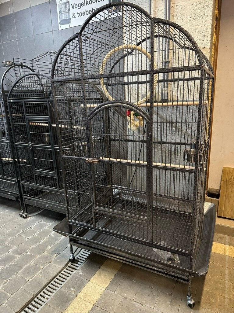 Papegaaienkooi Hyacint XXL, Ophalen