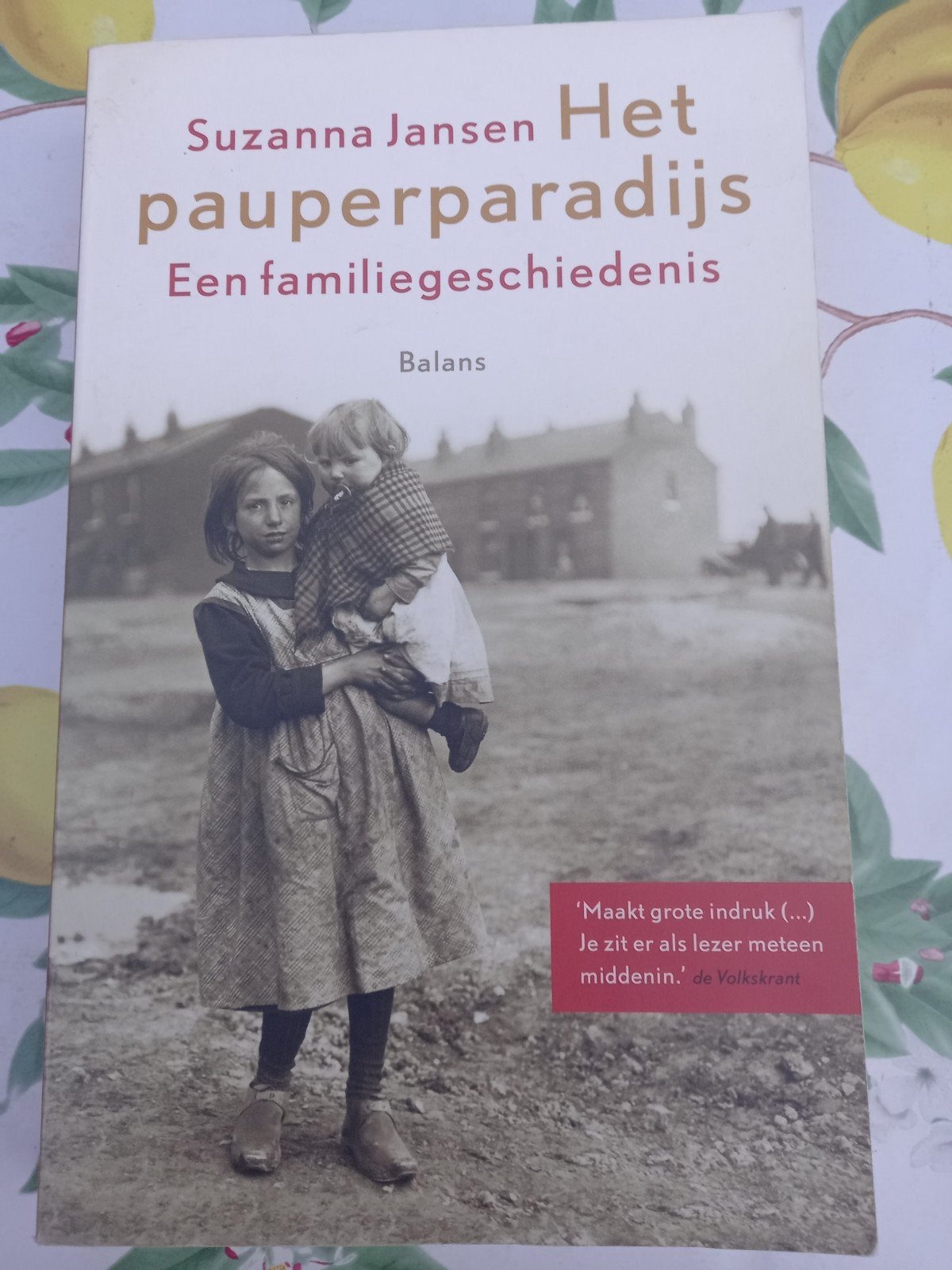 H Sonja Jansen - Het pauperparadijs, Boeken, Overige Boeken, Ophalen of Verzenden, Zo goed als nieuw, Sonja Jansen