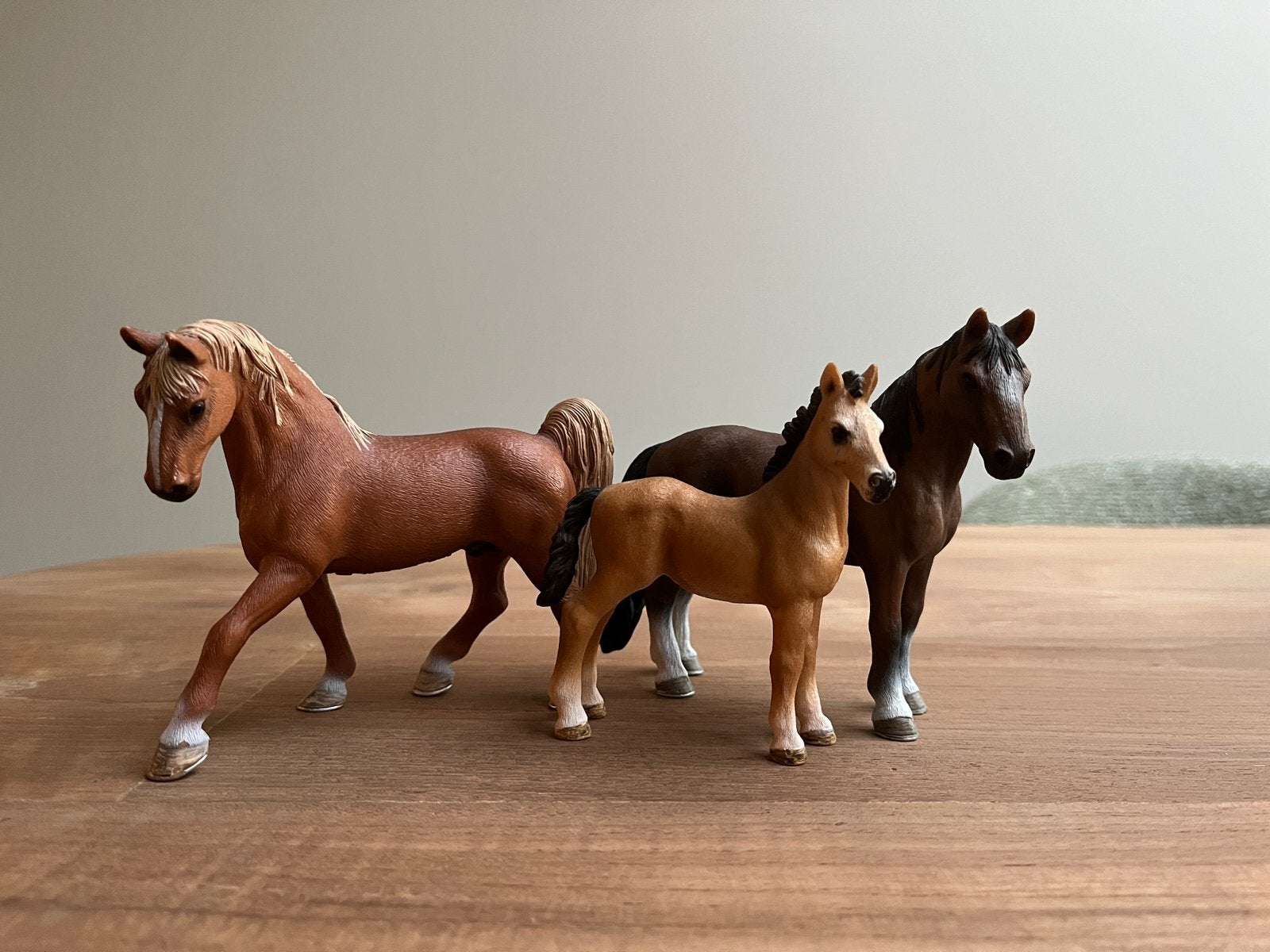 Schleich paarden, Ophalen of Verzenden, Zo goed als nieuw, Jongen of Meisje