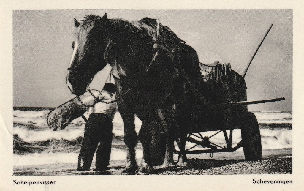 Scheveningen, Ophalen of Verzenden, 1940 tot 1960, Gelopen, Zuid-Holland