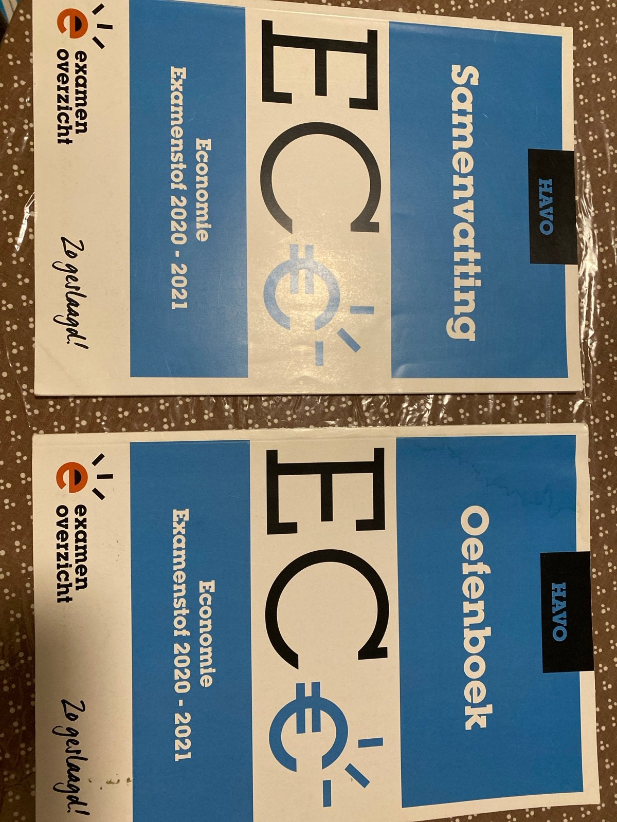 ExamenOverzicht Economie HAVO Samenvatting & Oefenboek, Ophalen of Verzenden, Gelezen, HAVO, Economie