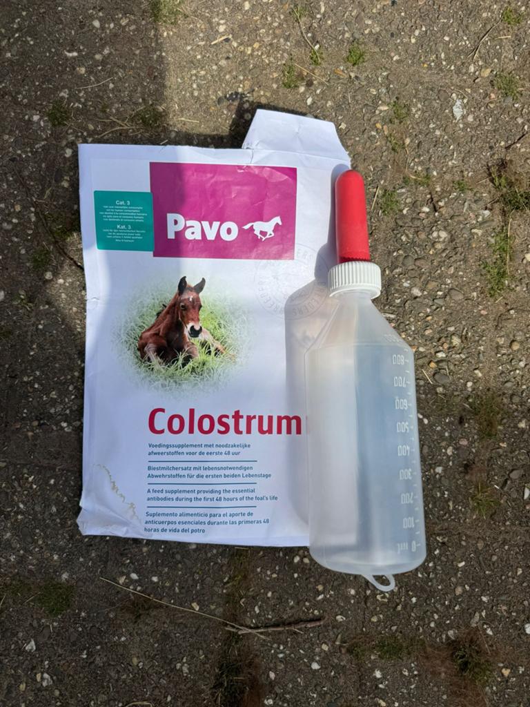 Diverse veulen benodigdheden *nieuw*, Dieren en Toebehoren, Paarden en Pony's | Overige Paardenspullen, Ophalen of Verzenden, Zo goed als nieuw