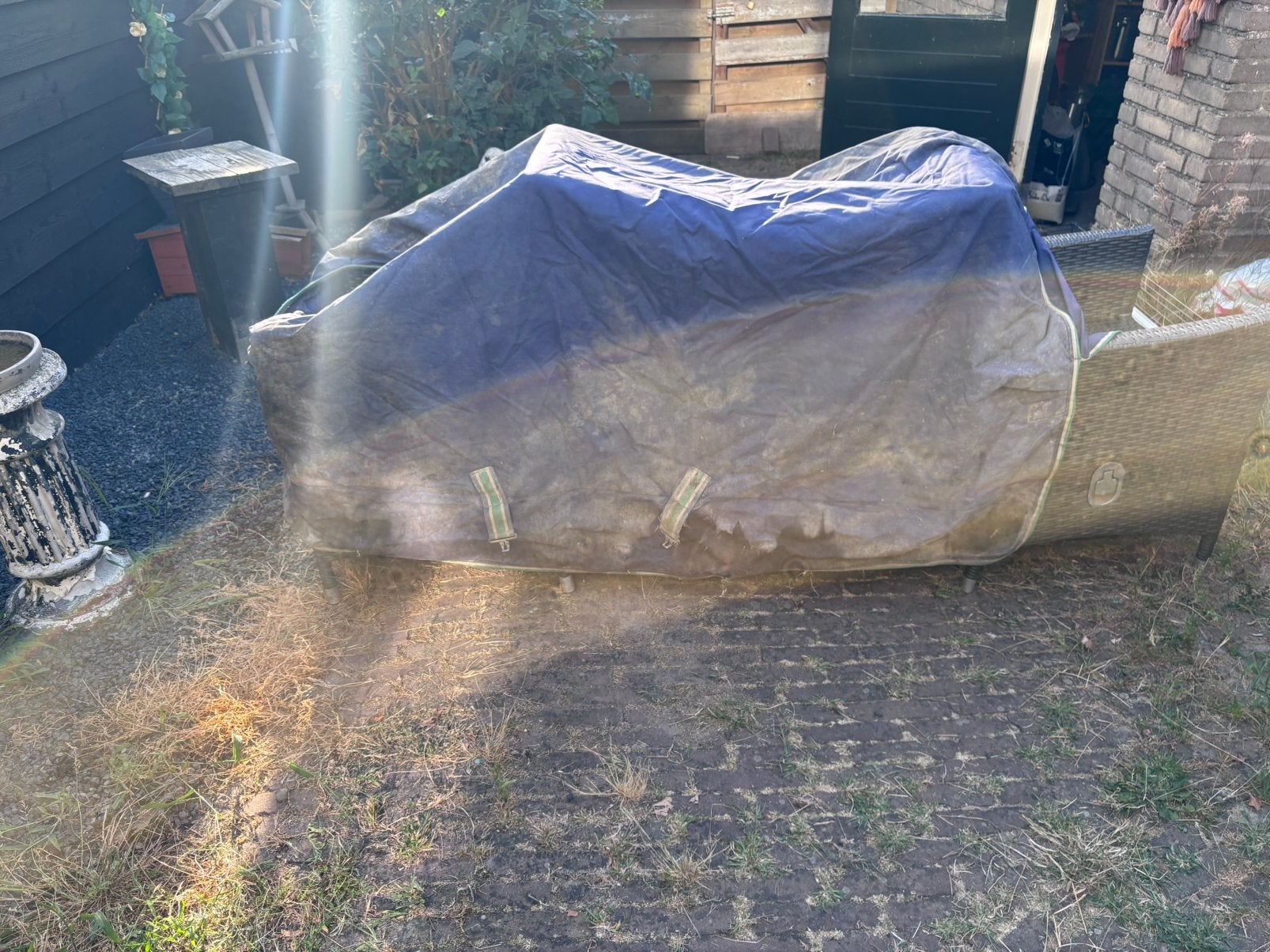 2x bucas smartex extra big neck, Dieren en Toebehoren, Ophalen, Gebruikt