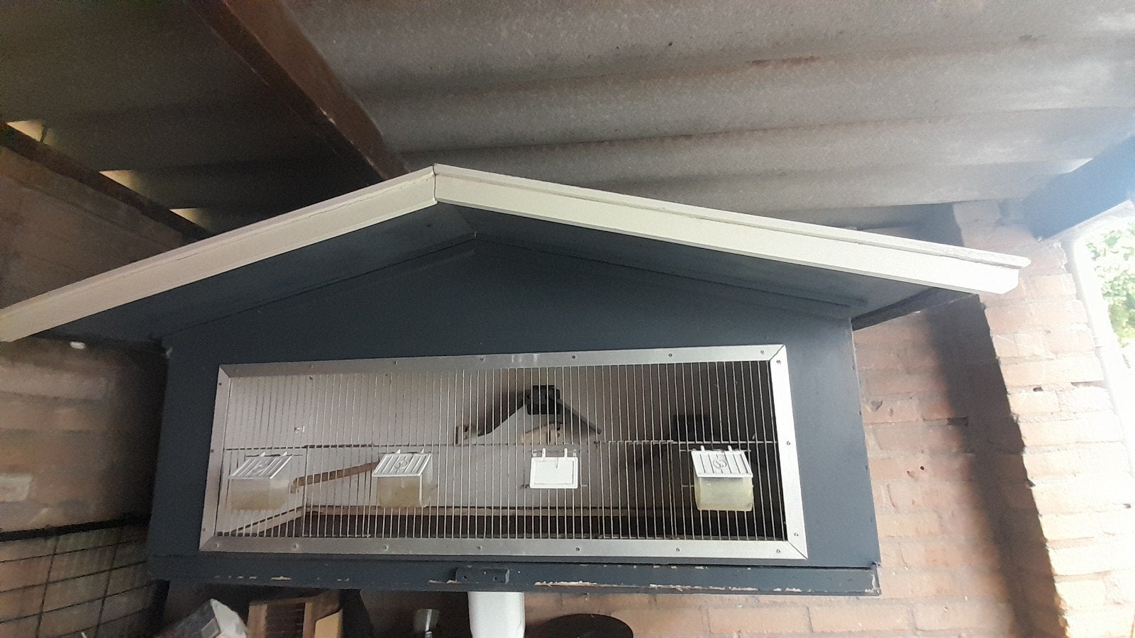 te koop grote vogelhok, Dieren en Toebehoren, Ophalen, Gebruikt, Hout, Vogelkooi