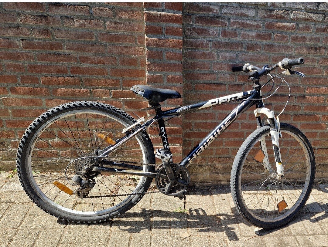 mountainbike goed werkend, Fietsen en Brommers, Fietsen | Mountainbikes en ATB, Ophalen, Overige merken