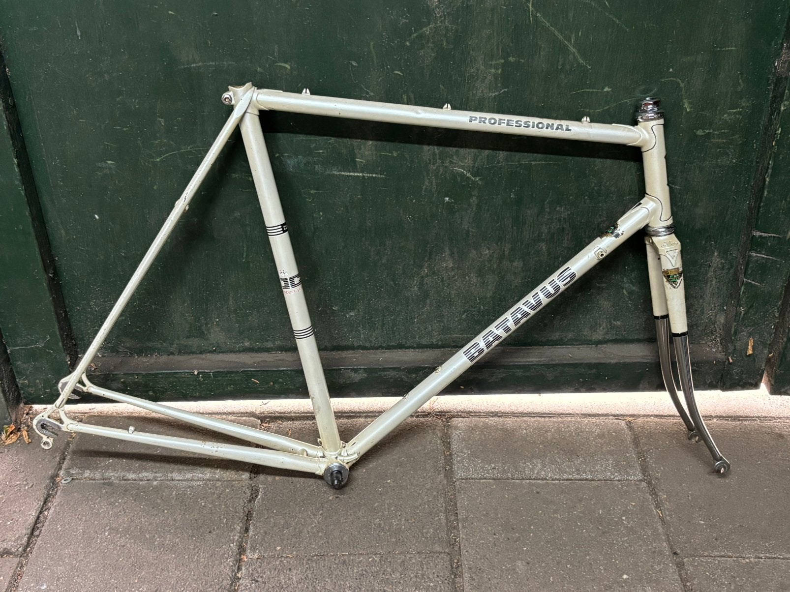 Batavus Proffessional racefiets frame Campagnolo balhoofd, Ophalen of Verzenden, Gebruikt, Racefiets, Frame