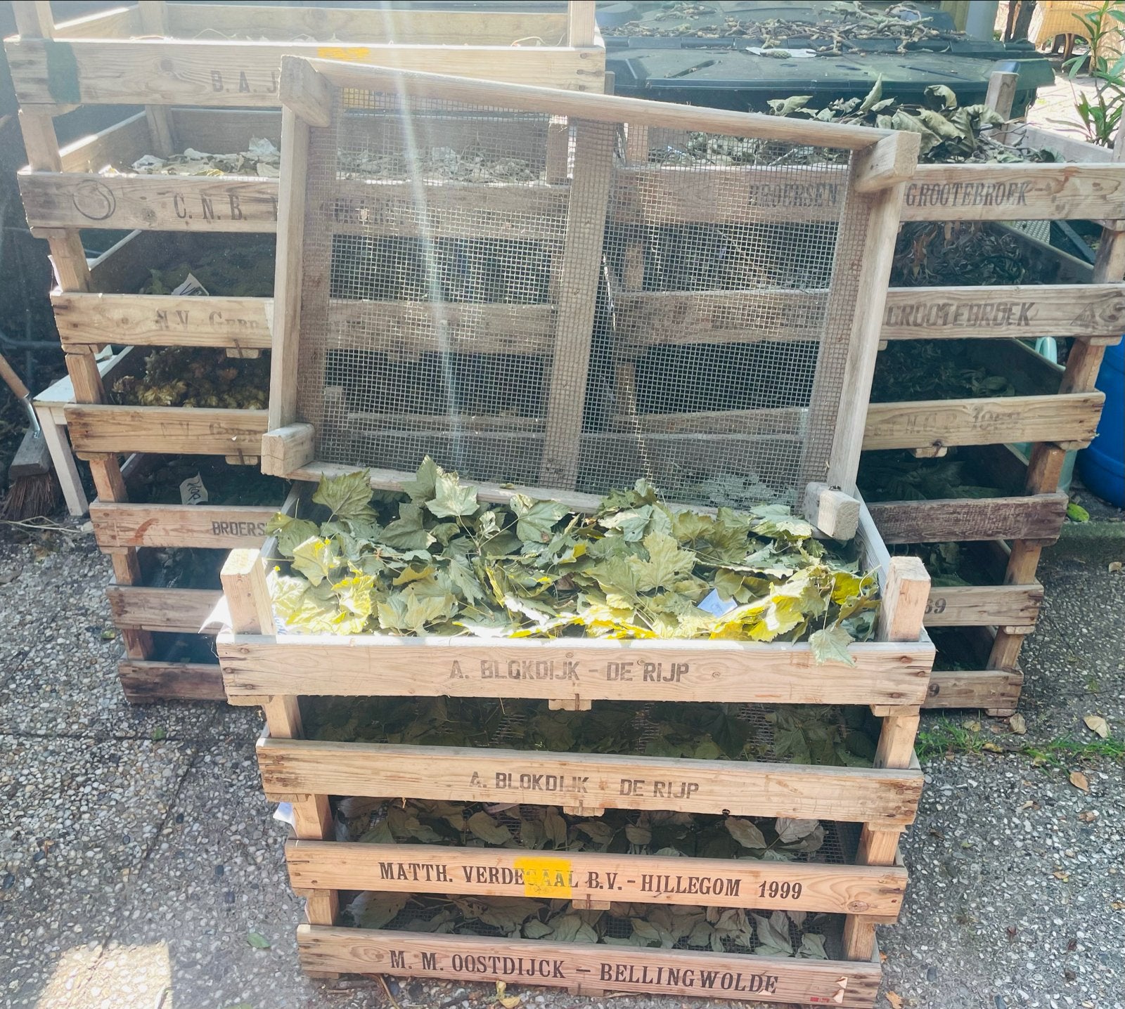 Stapelbare houten kratten voor opslag en drogen, Doe-het-zelf en Verbouw, Kratten en Dozen, Ophalen, Gebruikt, 40 tot 60 cm, 50 tot 75 cm