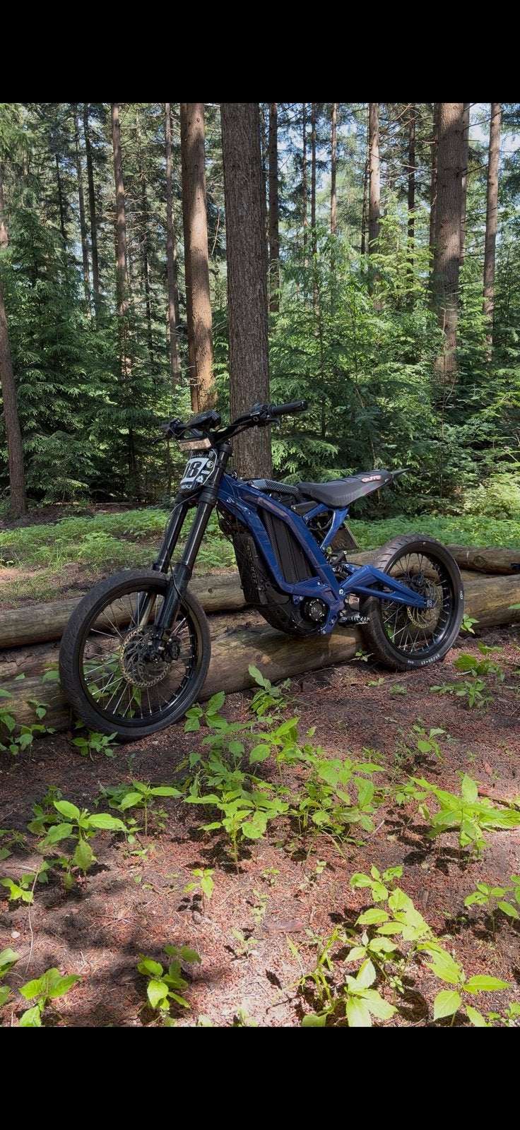 Surron Light Bee X 2023 Custom, Fietsen en Brommers, 0 versnellingen, Zo goed als nieuw, 100 cc, Ophalen