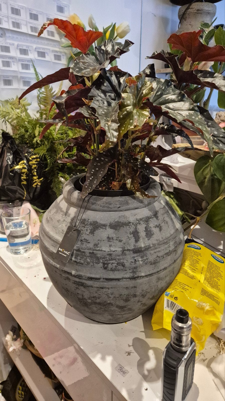 Brynxz Pot Rond Stone Black - Nieuw, Nieuw, Ophalen of Verzenden, Brynxz, Nvt