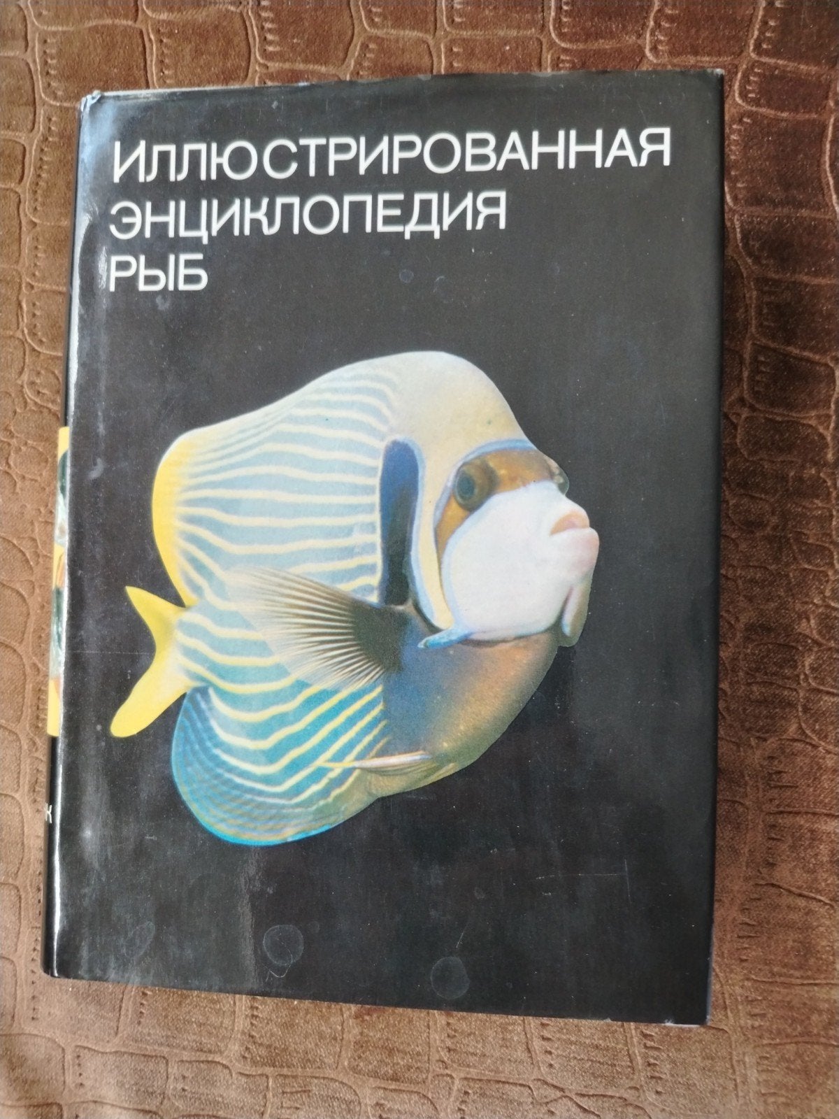 Geïllustreerde Encyclopedie van Vissen - Russisch, Ophalen of Verzenden, Los deel, Dieren, Onbekend