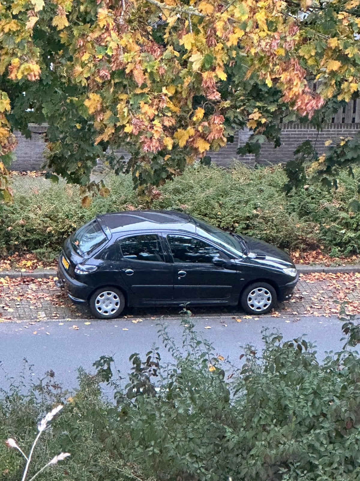 Onderdelen div of compleet peugeot 206, Ophalen, Peugeot