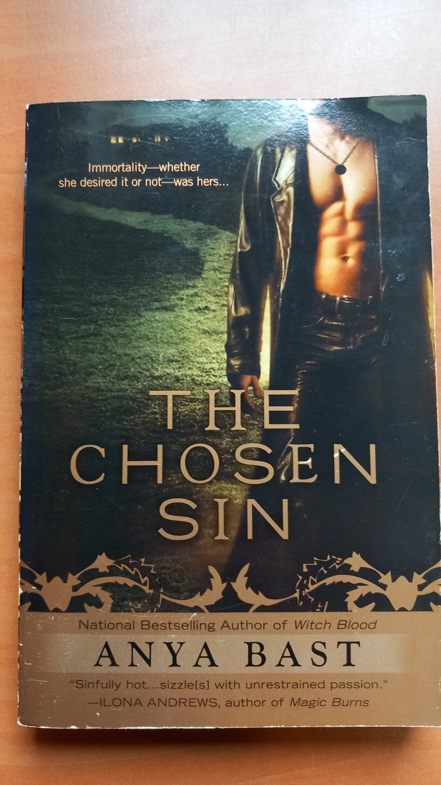 The Chosen Sin - Anya Bast (Engels), Ophalen of Verzenden, Gelezen, Anya Bast