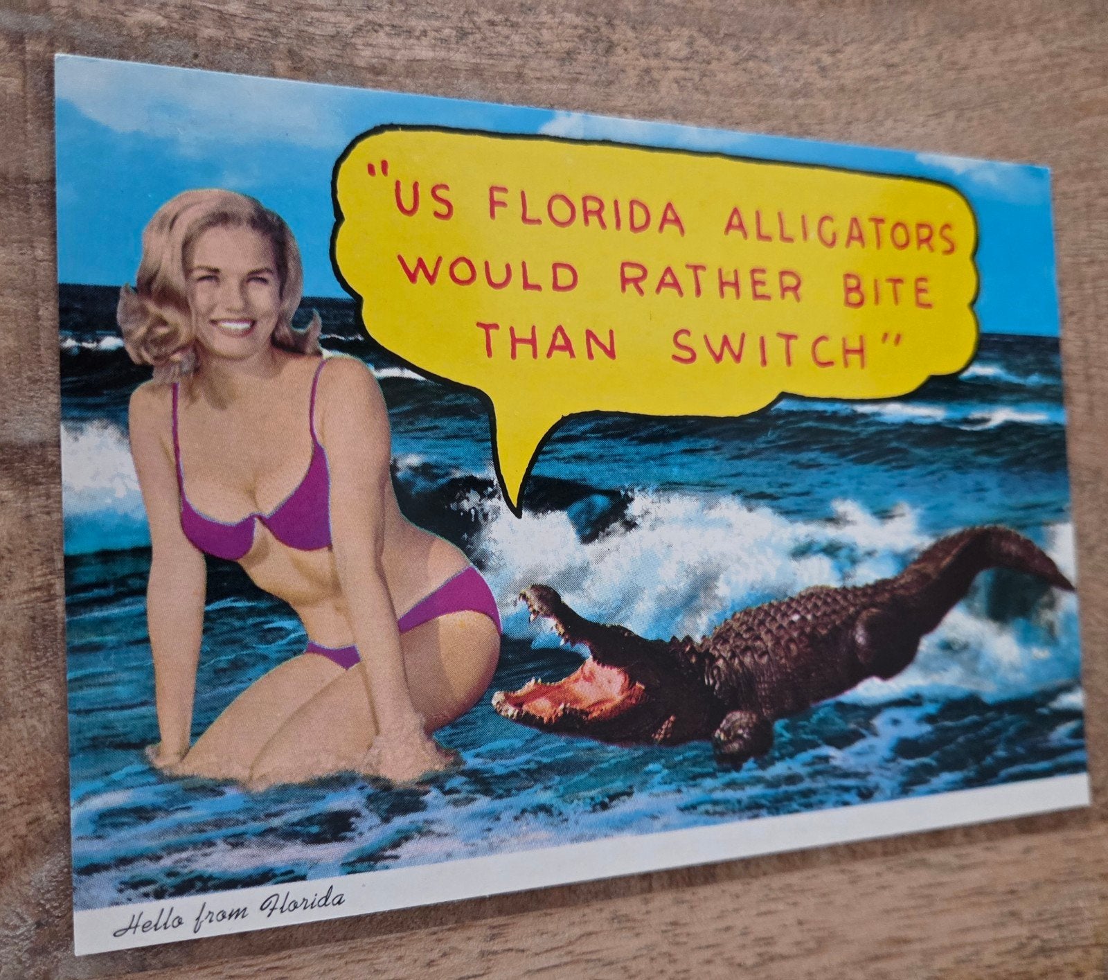 Florida: Alligators en sexy Bikini Dame, Verzenden, 1960 tot 1980, Ongelopen, Overige thema's