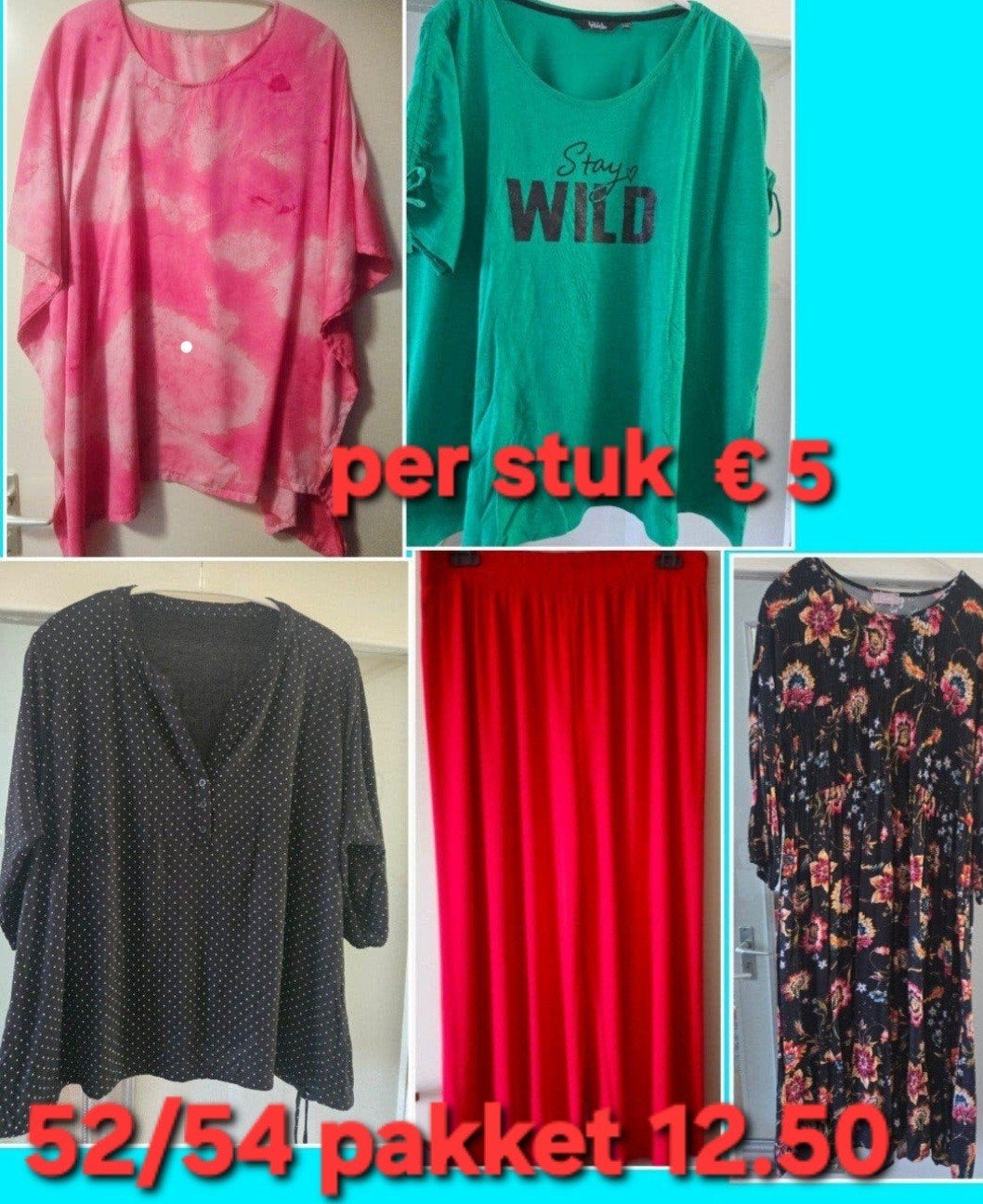 mt 54 pakket 5 stuks samen €12.50, Kleding | Dames, Grote Maten, Ophalen of Verzenden, Zo goed als nieuw, Ulla popken enz, Blouse of Tuniek