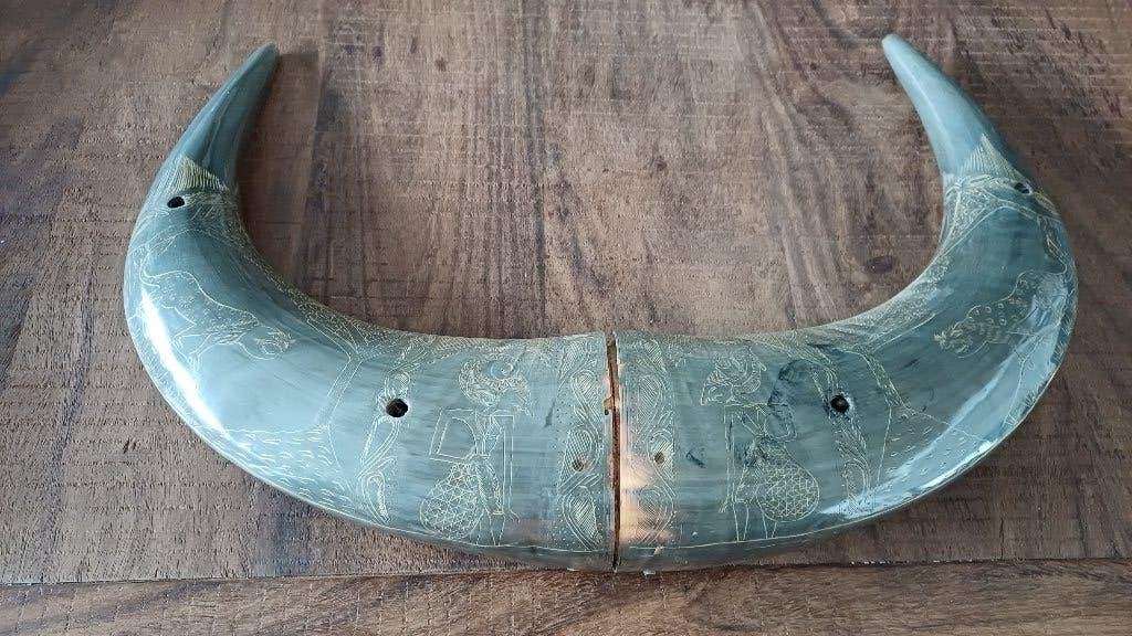 Karbouw / waterbuffel wandornament hoorns Indonesie, Ophalen of Verzenden, Zo goed als nieuw, Boerderijdier, Beeldje of Figuurtje