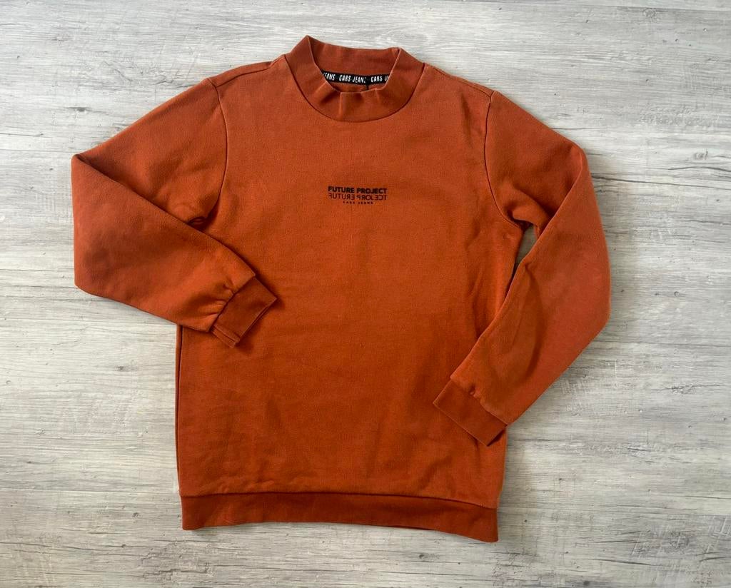 Cars cognac kleur sweater maat 164, Kinderen en Baby's, Kinderkleding | Maat 164, Verzenden, Gebruikt, Jongen, Trui of Vest