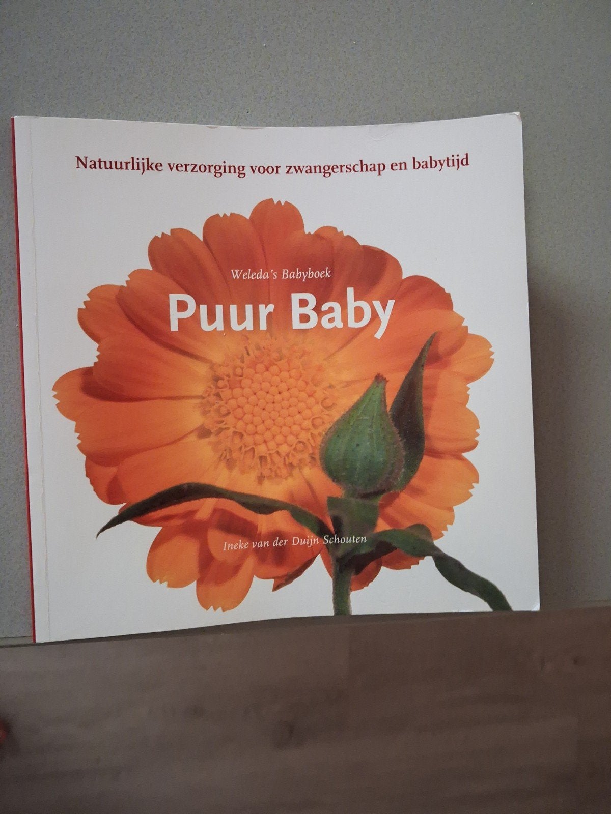 Weleda's Babyboek: Natuurlijke verzorging, Boeken, Ophalen of Verzenden, Gelezen, Zwangerschap en Bevalling, Ineke van der Duijn Schouten
