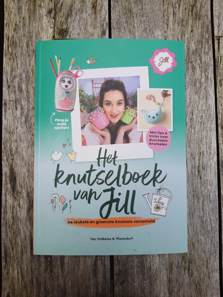 Het knutselboek van jill boek, Ophalen of Verzenden, Zo goed als nieuw, Overige onderwerpen