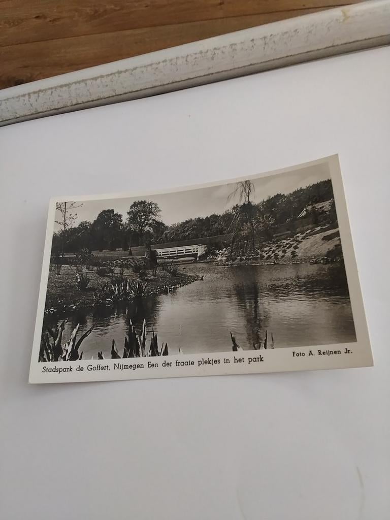 NIJMEGEN. STADSPARK DE GOFFERT. 195?, Ophalen of Verzenden, Voor 1920, Gelderland