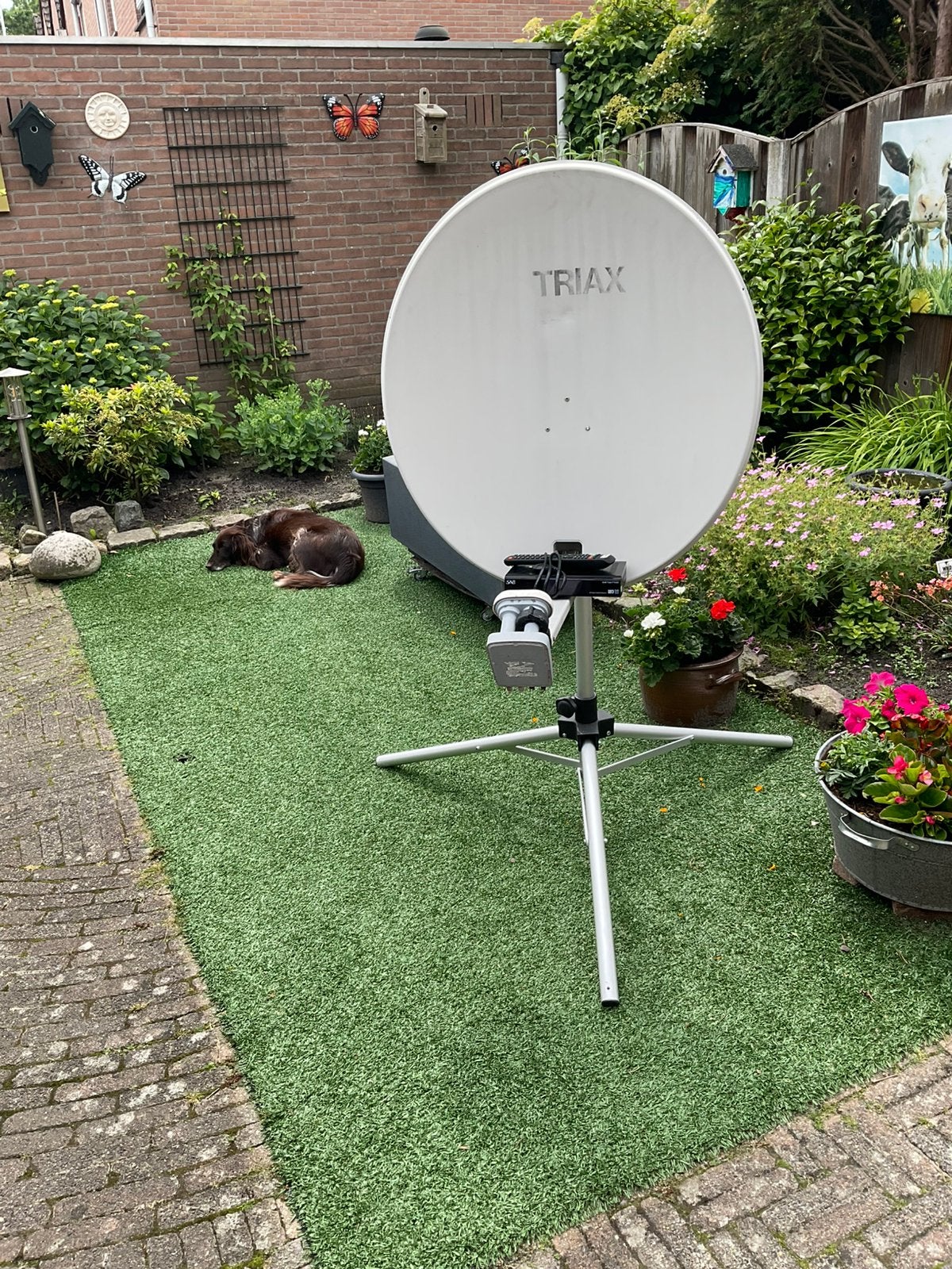 Te koop complete schotel plus reciever, Audio, Tv en Foto, Schotelantennes, Ophalen of Verzenden, Overige merken