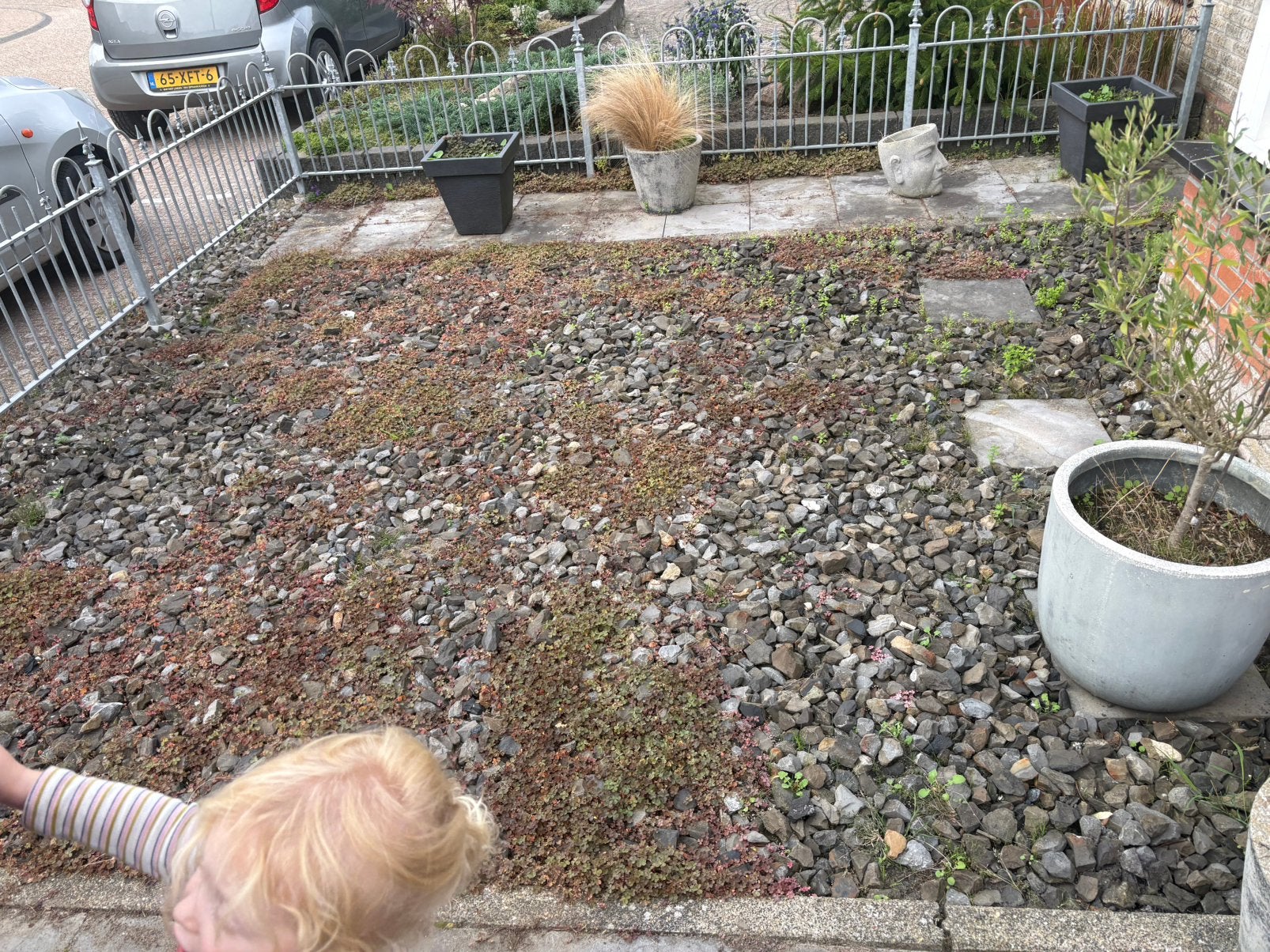 Gratis af te halen, Tuin en Terras, Ophalen, Zo goed als nieuw